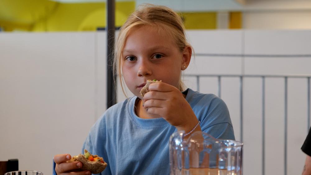 Mikro fast_pige pita