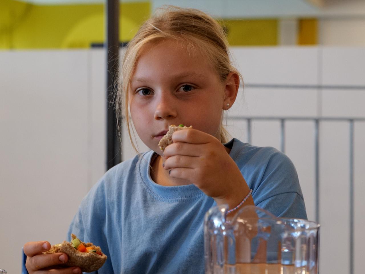 Mikro fast_pige pita