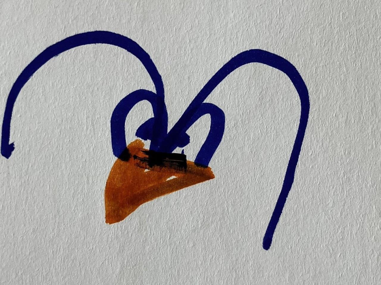 Fugle-postkort