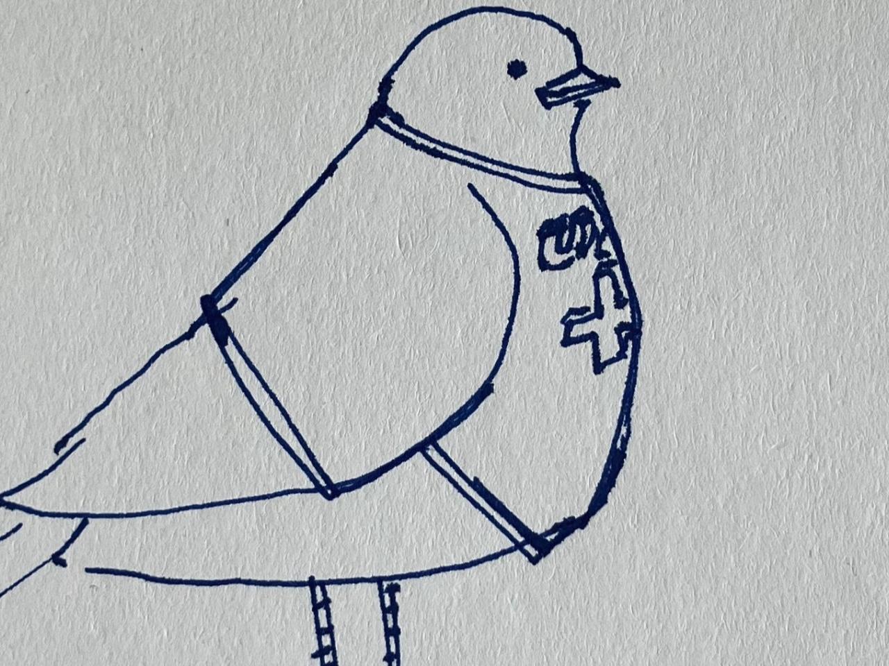 Fugle-postkort