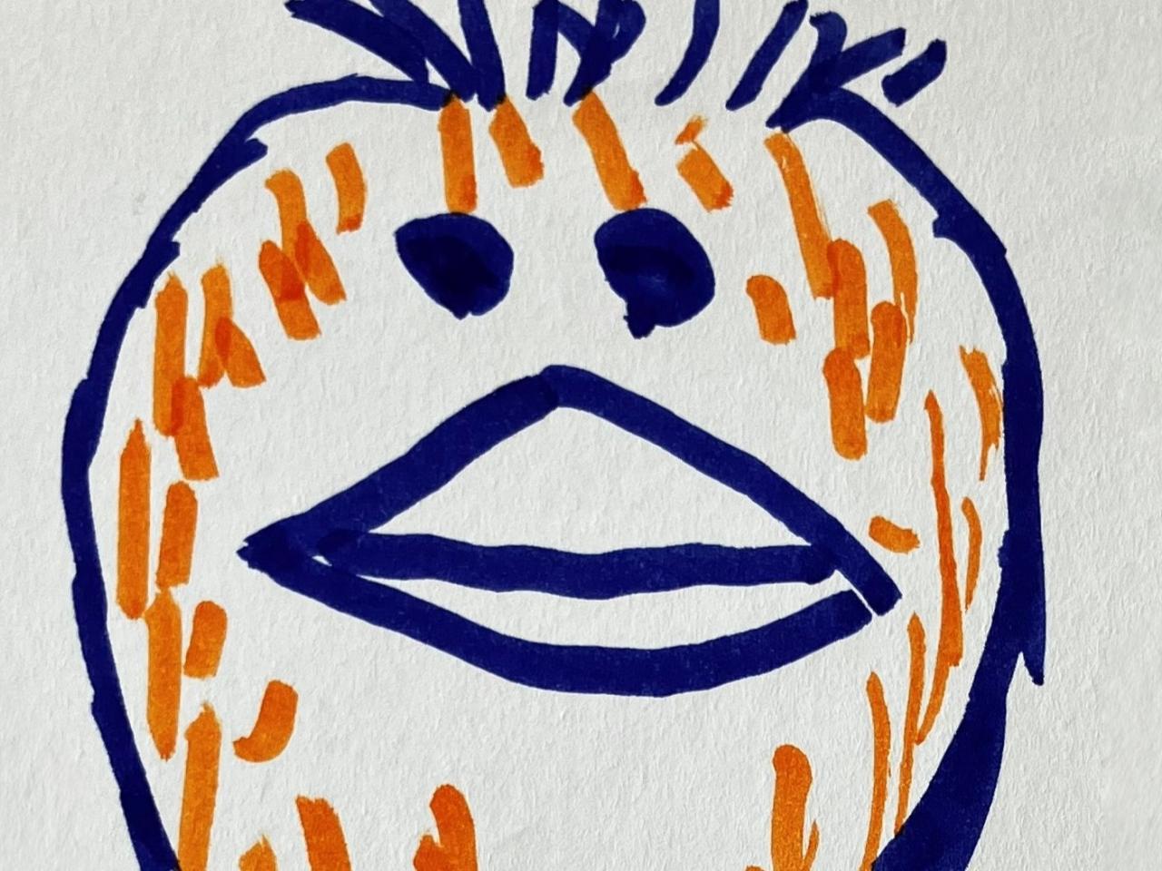 Fugle-postkort