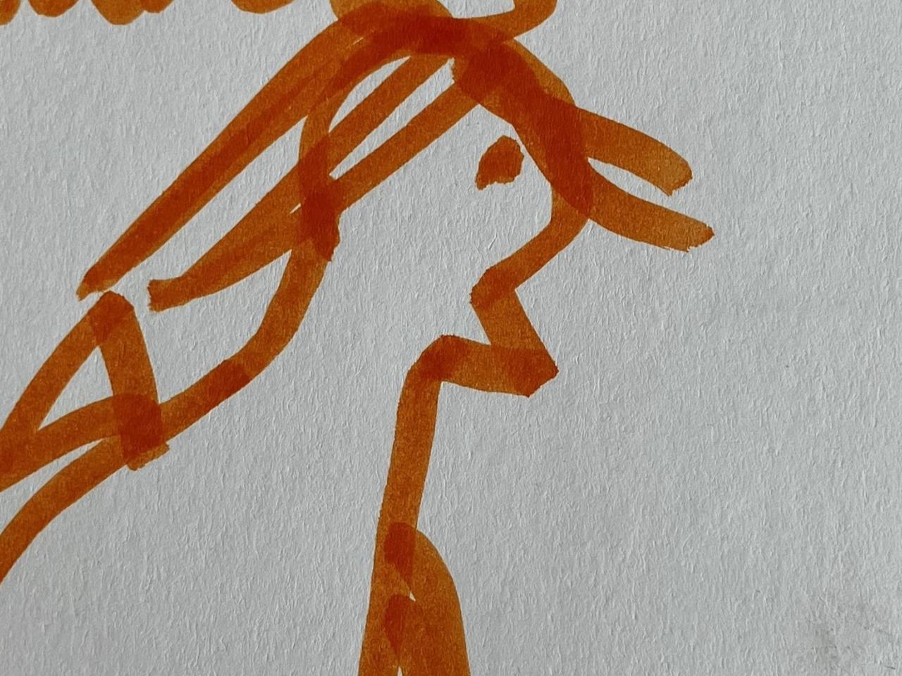 Fugle-postkort