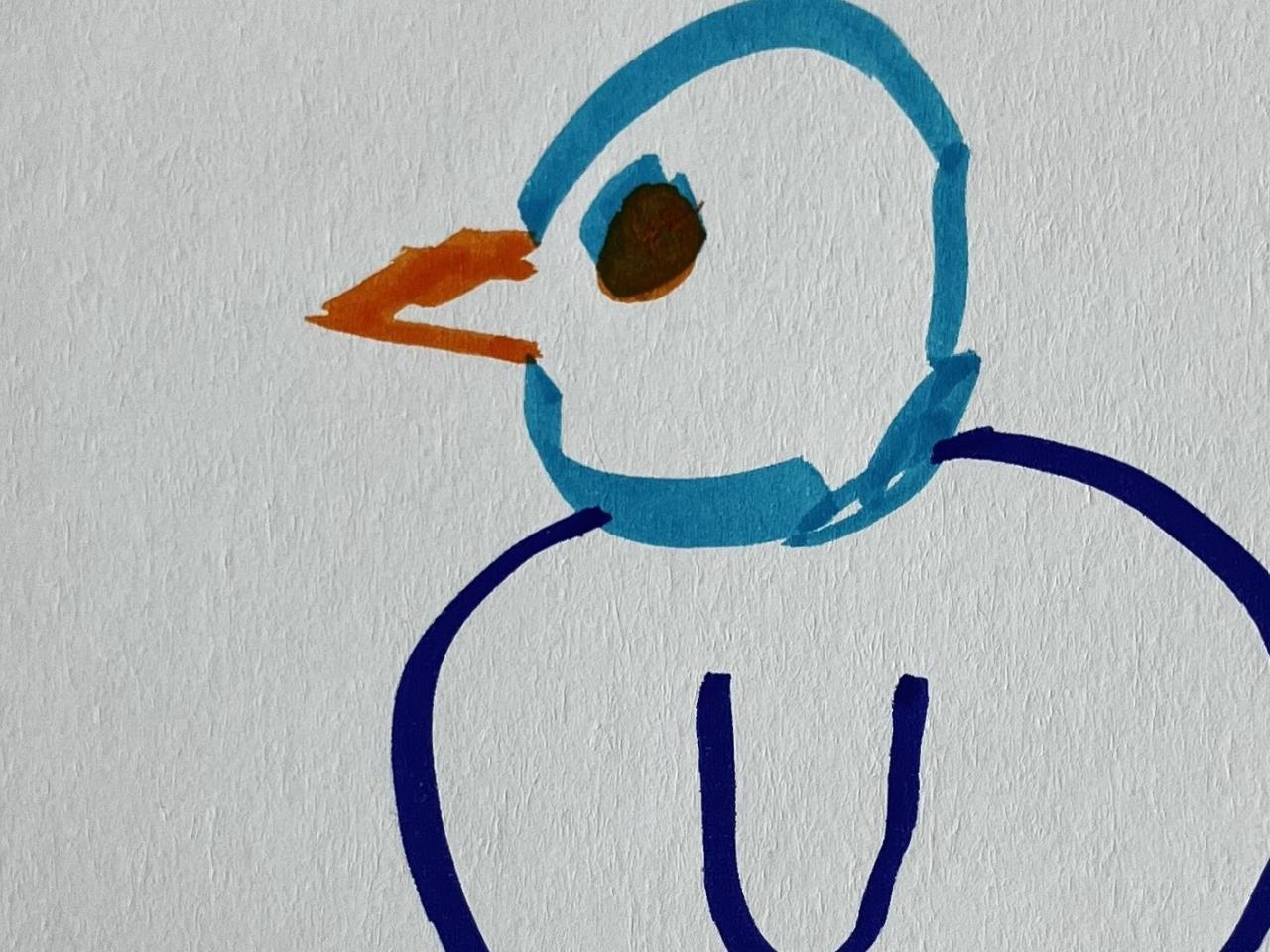 Fugle-postkort